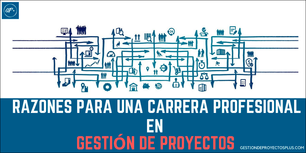 Carrera profesional